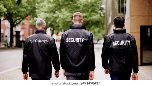 professional security guard services