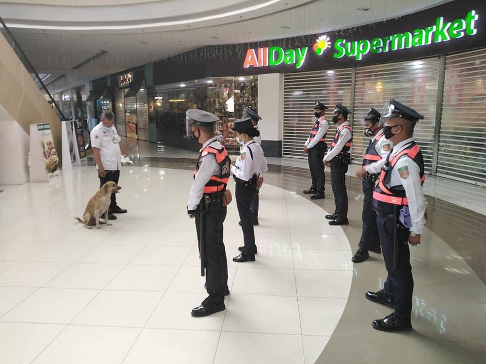 hopping mall security guards in Upper East Side
